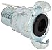 Dixon GAM7 Plated Steel Global Air Hose Fitting, King Universal Coupling, 3/4