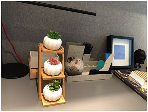 DecoLife Pumpkin Planter Small Round White Ceramic Succulent/Cactus Pot Modern Garden Decorative Nordic Style 3 Tier Bamboo Stand Cute Pumpkin Pot Desk Organizer