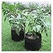 Mophorn 12-Pack 65 Gallon Plant Grow Bag Aeration Fabric Pots with Handles Black Grow Bag Plant Container for Garden Planting Washable and Reusable (12-Pack 65 Gallon)thumb 1