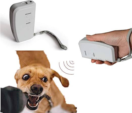 canidae grain free salmon