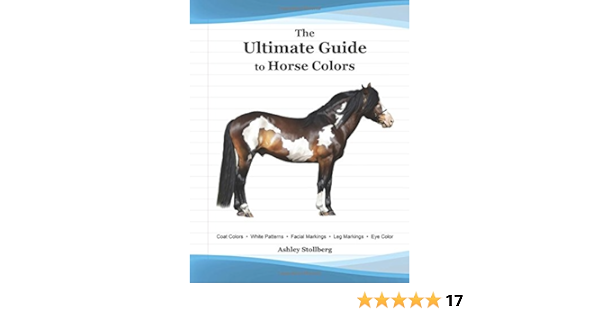 The Ultimate Guide To Horse Colors Stollberg Ashley 9781546951513 Books Amazon Ca