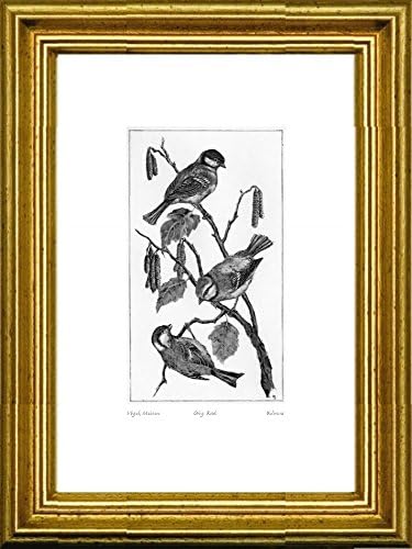 Single-colored hand-crafted etching Vögel, Meisen (Germany) by Behrens in a gold frame, graphics, art design, art print