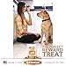 Best Paw Nutrition - Pure Salmon Treats for Dogs & Cats - Freeze-Dried, Grain-Free & All Natural - Made in The USA Only - Healthy Training & Reward Snacks - Small Bites of Joy Pets Love - 3oz