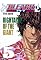 Livro Bleach vol. 5