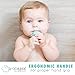 GRABEASE Silicone Spoon for Babies and Toddlers | Chewable Baby Spoon | Great for Teething and Easing Babies into Self-Feeding (1 Pack Teal)