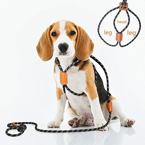 rope leash harness
