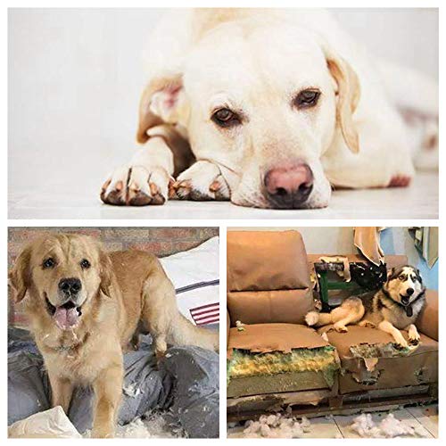 AJIEVWU Dog Chew Toys for Puppies Teething Chew Toys for Teething Indestructible Dog Toys Long Lasting Chew Toy Puppy Teething Chew Toys Perfect Training Teething Dog Chew Toys (Orange)