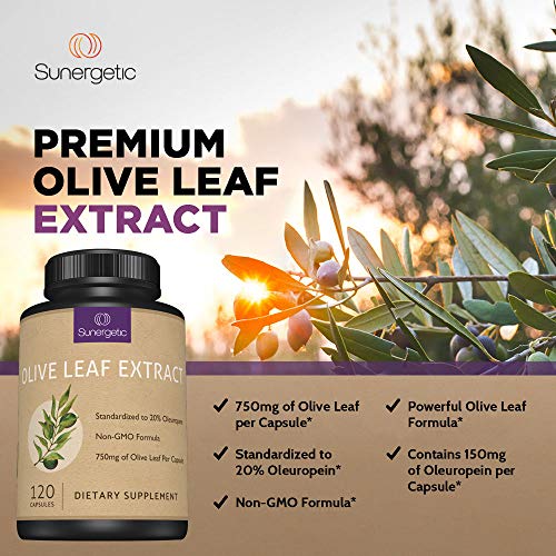 Premium Olive Leaf Extract Capsules Standardized to 20 Oleuropein