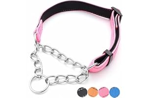 PUROAYET Martingale Dog Collar Wide 2.5CM(0.98inch) Reflective Nylon with Stainless Steel Chain Dog Collar Comfortable Soft M-(doginchs neck15-19inches)