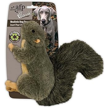 amazon squirrel dog toy