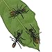 3Pcs Black Plastic Ant Joke Trick Toy