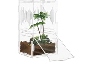 LEIZHENZI Jumping Spider Enclosure, Tarantula Enclosure,4" X 4" X 8"Terrarium,Reptile Tank for Small Reptiles and Invertebrates, Mantis, Spider, Cricket, Tarantula