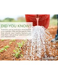 Polvo prebiótico orgánico Hyperbiotics – Promueve el crecimiento de buenas bacterias al tiempo...