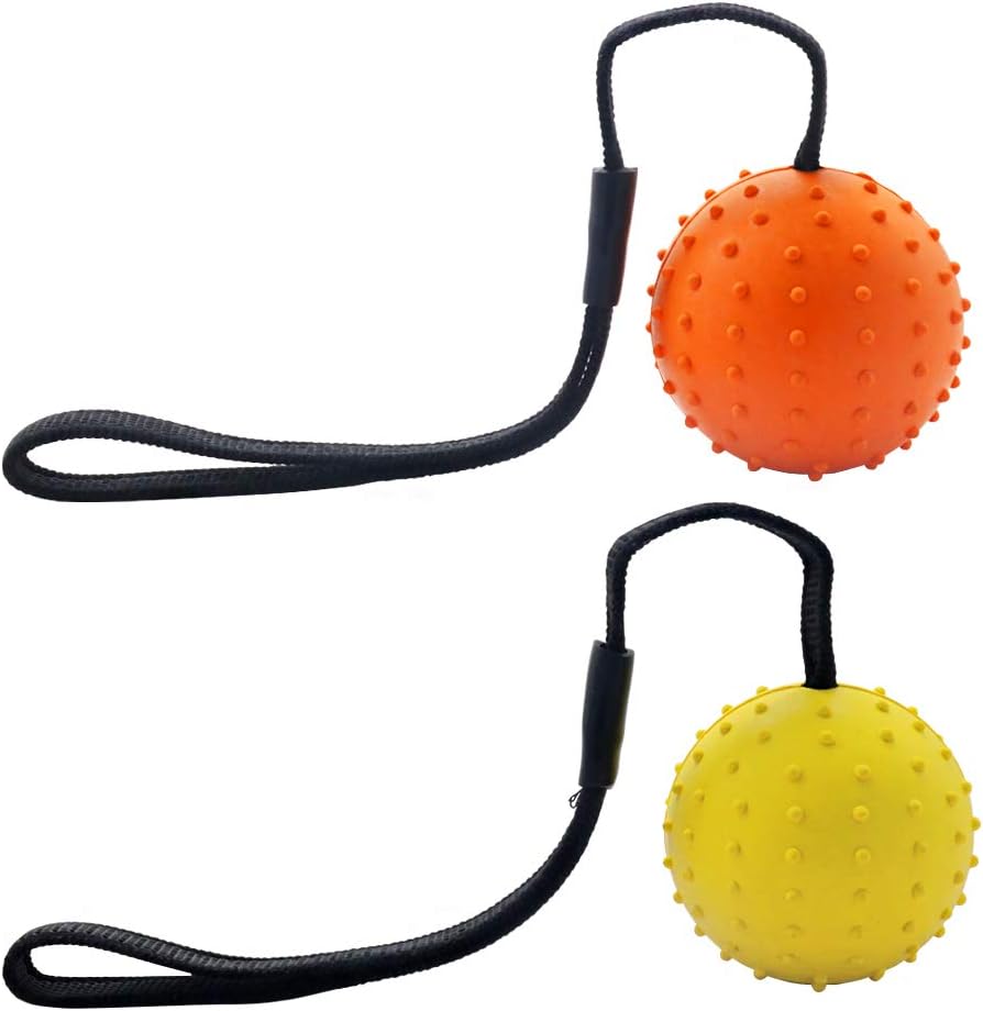 Vivifying Dog Ball on a Rope, 2 Pack Natural Interactive Rubber Ball