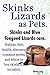 Skinks Lizards as Pets. Blue Tongued Skinks and Other Skinks Care. Habitat, Diet, Common Myths, Dise by