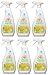 Sun & Earth All Purpose Cleaner, Light Citrus, Pack of 6, 132.0 Fl Oz