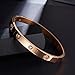 MVCOLEDY Jewelers Rose Gold Plated Bangle Bracelet All Zirconia Stone Stainless Steel Crystal Bangle Bracelets Women Jewelry Size 7