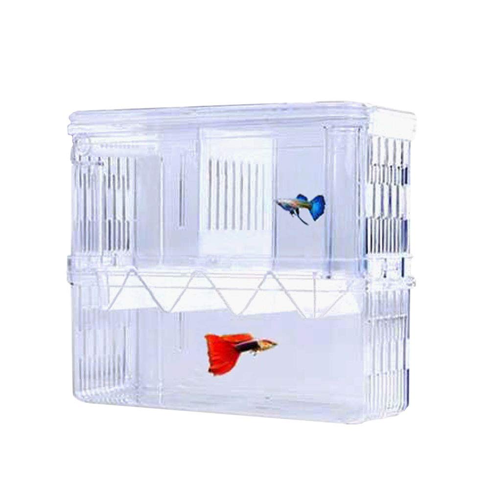Tiberham Fish Breeding Box, Acrylic Floating Fish Hatchery Isolation Box, Double Layer Fry Hatching Incubator Breeding Rearing Trap, Aquarium Tank Fish Parenting Container Divider with Suction Cups_L
