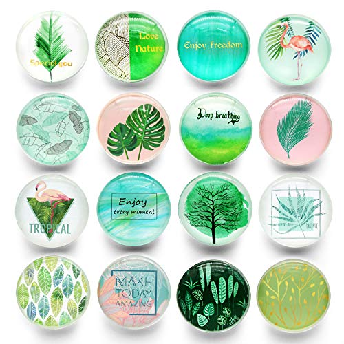 Cosylove 16 Pack Fridge Magnets Crystal Glass Fridge Magnets for Office Cabinets Pictures, Great Decorative Magnets (Green Plant)