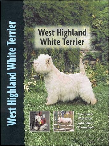 West Highland White Terrier (DOG BREED BOOK) �n�[�h�J�o�[  - 1999/10/1