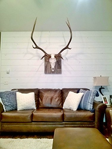 Skiplap 851077008037 Farmhouse Rustic Real Wood T&G Wall Paneling