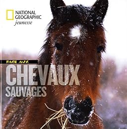 Face aux chevaux sauvages