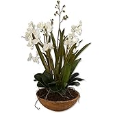 Uttermost Moth Orchid - 33.5 inch Planter