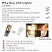 Boodled 4 X T10 W5W Canbus No Error 3030 PX Chipset 12-smd LED Bulbs for 168 194 175 Car Interior Dome Map Door Courtesy License Plate Lights Error Free (No Polarity) (3500K~4000K WARM WHITE)