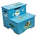 Fantasy Fields - Froggy Thematic Kids Wooden Step Stool with Storage | Imagination Inspiring Hand Crafted & Hand Painted Details   Non-Toxic, Lead Free Water-based Paint
