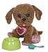 Cabbage Patch Kids Adoptimals - Plush Pet Dog (Labradoodle)