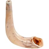 Rite Lite Plastic Shofar Horn Rosh Hashanah Jewish New Year Holiday Party Favors Shana Tova Gifts Yom Kippur Gift High Holidays Jewish Musical Instrument For Little Ones!