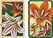 Entertaining with Caspari Double Deck of Bridge Playing Cards with Jumbo Typeface, Amaryllis, Set of 2