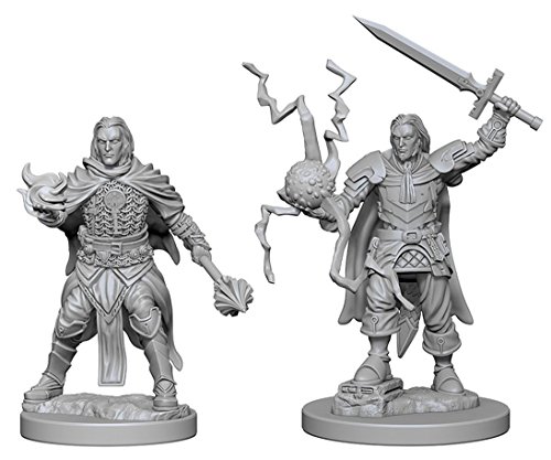 Pathfinder: Deep Cuts Unpainted Miniatures: Human Male Cleric