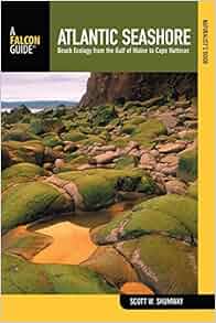 Naturalist S Guide To The Atlantic Seashore Beach Ecology