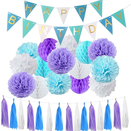 Domika Happy Birthday Banner Bunting Kit, Paper Pom Poms Flowers Tassels Honeycomb Balls with Hanging Party Decorations Banner flags for Birthday Party