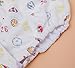 Fairy Baby All in One Printed Cloth Nappy Velcro Fabric Diaper Pack of 4(S/Fit 6.61-13.22lbs,Girl)