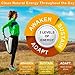 RECHARGE24 AM Nootropics Brain Supplement - Energy Pills for Focus Memory & Clarity - Natural Organic Ashwagandha Maca Root and Ginseng - Thyroid Support - Smart Brain Health Supplement 30 Day Supply
