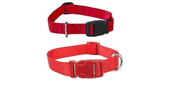 bulk large dog collars