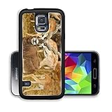 Luxlady Premium Samsung Galaxy S5 Aluminium Snap Case blackbuck or Antilope cervicapra IMAGE ID 7257804