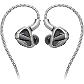 FiiO FH19 HiFi IEM Earphone| 2 Dynamic+ 6 BA Hybrid Driver IEM, Detachable MMCX Headphone Cable for Musician Audiophile