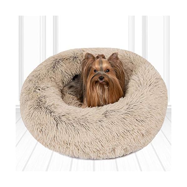 forever friends dog beds