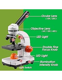 Dicfeos Microscopio para Niños y Estudiantes, 40X 100X 250X 400X 1000X Ampliación, Lente de Cristal Óptico, Iluminación Dual Light, Lente Ocular Extra 25X y Accesorios de Microscopio