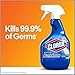 Clorox Bathroom Cleaner, 30 Ounce Spray