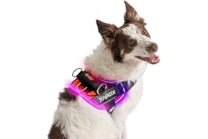 Joyride Harness LED Light Up Dog Harness 2.0 - Patent Pending Design, 3 LED Modes, Vibrant Rechargeable Lighting, Customizable Name Tag Area, and Convenient On/Off Button for Enhanced Pet Safety