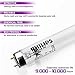 iSpring UVF55 Whole House Water Filter Advanced 55W Ultraviolet(UV) Filtration System