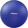 Trideer Yoga Ball Exercise Ball for Working Out, 5 Sizes Gym Ball, Birthing Ball for Pregnancy, Swiss Ball for Physical Therapy, Balance, Stability, Fitness, Office Ball Chair, Quick Pump Included