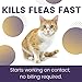 Adventure Plus Flea Prevention for Cats - Topical Flea Treatment for Cats (9+ lbs) (Pack of 4)