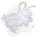 Coolr Fascinators Hair Clip Headband Feather Flower Veil Wedding Headwear Bridal 1920s Headpiece, A White, One Size