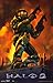 Halo 2 Poster Video Game B 11x17