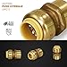 Supply Giant VQGD12 1/2 Inch Long Push X Female Adapter for Push-Fit Fittings, Made with Lead-Free DZR Forged Brass, Connects PEX, CPVC & Copper, Pre-Lubricated Quick Installation